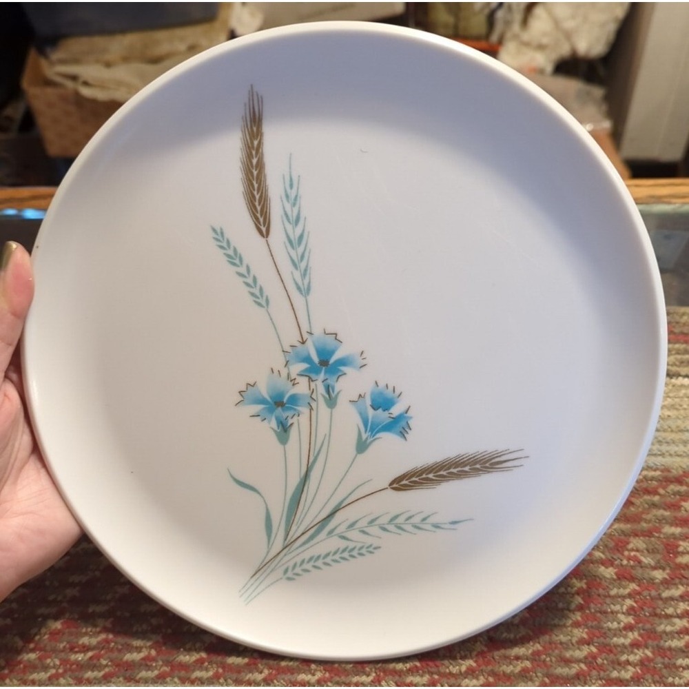 1 Vintage Mid Century Melmac 10" Dinner Plate Darien by Westinghouse